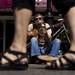 Ann Arbor resident Forrest Hejkal performs "Midnight Special" on guitar and harmonica as people walk by during Taste of Ann Arbor on Main Street.
Jeffrey Smith | AnnArbor.com